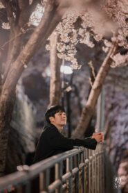 One Spring Night / Într-o Noapte de Primăvară