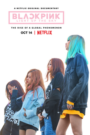 BLACKPINK: Light Up the Sky subtitrat în română