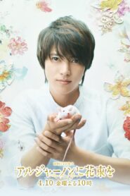 Flowers for Algernon / Flori pentru Algernon (2015)