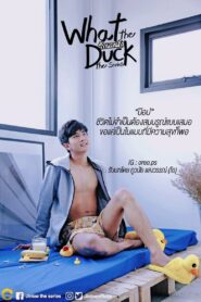 What the Duck: The Series / Aterizarea dragostei (2018)
