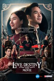 Love Destiny: The Movie / Iubire și destin: Filmul (2022)