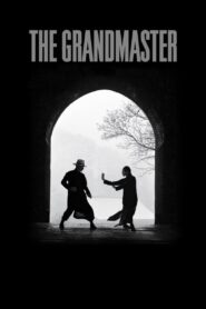 THE GRANDMASTER (2013)
