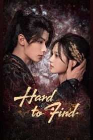 Hard to find / Greu de găsit (2024)