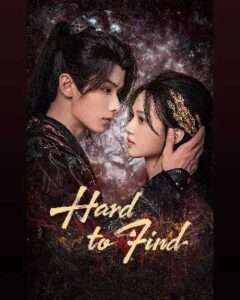 Hard to find / Greu de găsit (2024)